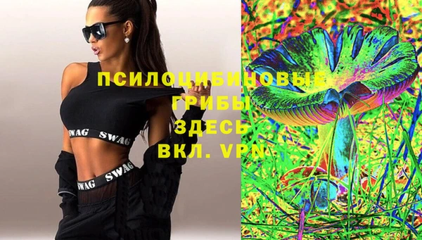 дурь Алзамай