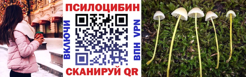 Псилоцибиновые грибы Psilocybine cubensis  МЕГА рабочий сайт  Ступино 