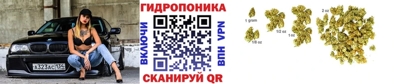 мега онион  наркотики  Ступино  Канабис Bruce Banner 